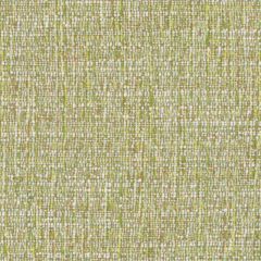 Duralee DW16416 Grass 597 Indoor Upholstery Fabric