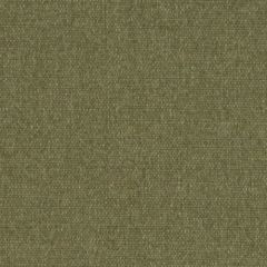 Duralee Dw16418 257-Moss 520811 Beekman Textures Collection Indoor Upholstery Fabric