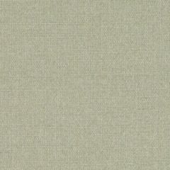 Duralee Dw16418 533-Celery 520812 Beekman Textures Collection Indoor Upholstery Fabric