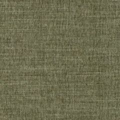 Duralee Dw16417 2-Green 520825 Beekman Textures Collection Indoor Upholstery Fabric