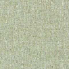 Duralee DW16414 Wasabi 609 Indoor Upholstery Fabric