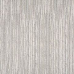 Robert Allen Contract Hunsford Taupe 507 Indoor Upholstery Fabric