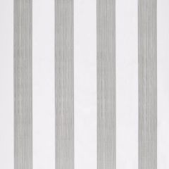 Beacon Hill Demi Stripe Silver 521039 Multipurpose Fabric