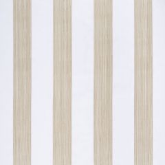 Beacon Hill Demi Stripe Travertine 521040 Multipurpose Fabric
