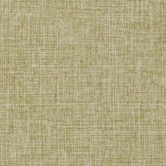 Duralee Dk61878 579-Peridot 521119 Multipurpose Fabric