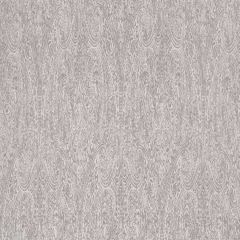Robert Allen Contract Endowment Stone 521289 Indoor Upholstery Fabric