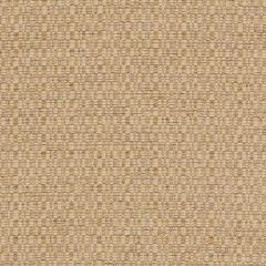 Duralee Straw DW16433-247 Pavilion Inside Out Upholstery Fabric