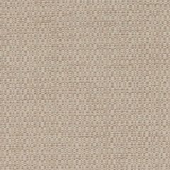 Duralee Jute DW16433-434 Pavilion Inside Out Upholstery Fabric