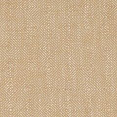 Duralee Straw DU16438-247 Pavilion Inside Out Upholstery Fabric