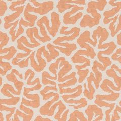 Duralee Tangerine DU16441-35 Pavilion Inside Out Upholstery Fabric