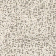 Duralee DU16443 Toffee 194 Pavilion Inside Out Upholstery Fabric