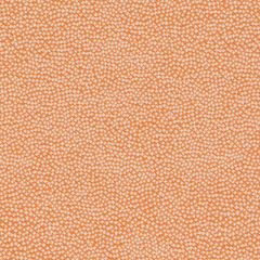 Duralee DU16443 Tangerine 35 Pavilion Inside Out Upholstery Fabric