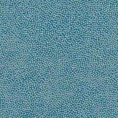 Duralee DU16443 Teal 57 Pavilion Inside Out Upholstery Fabric