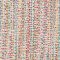 Duralee DU16452 Multi 215 Pavilion Inside Out Upholstery Fabric