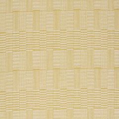 Robert Allen Contract Kellynch Hall Chartreuse 521468 Indoor Upholstery Fabric