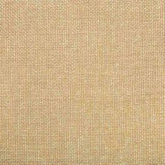 Kravet Smart 34939-16 Indoor Upholstery Fabric