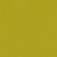 Duralee Chartreuse DV16467-25 Pavilion Inside Out Upholstery Fabric