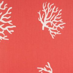 Premier Prints Coral White Multipurpose Fabric