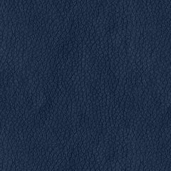 ABBEYSHEA Turner 3006 Navy Indoor Upholstery Fabric