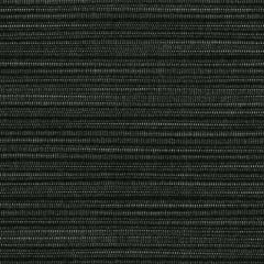 Perennials Snazzy Ebony 675-18 The Usual Suspects Collection Upholstery Fabric