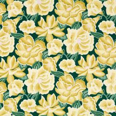 Robert Allen O'Keeffe Bloom Golden Hour Home Multi Purpose Collection Indoor Upholstery Fabric