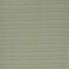 Robert Allen Norse Solid Bk Grassland 524097 Indoor Upholstery Fabric