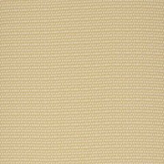 Robert Allen Idyllic Charm Maize 524364 Indoor Upholstery Fabric