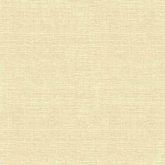 Kravet Basics Beige 33842-1121 Perfect Plains Collection Multipurpose Fabric