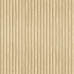 Kravet Smart Weaves Beach 32966-16 Indoor Upholstery Fabric