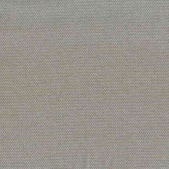 Tempotest Home Maestro Sterling 51671/7 Bel Mondo Collection Upholstery Fabric