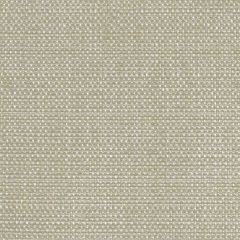 Duralee Luster Tweed Beige Indoor Upholstery Fabric