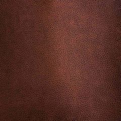 Robert Allen Contract Orford Chestnut Indoor Upholstery Fabric