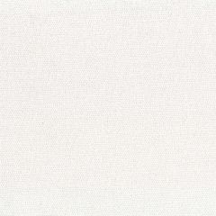 Robert Allen Sirenuse White Essentials Multi Purpose Collection Upholstery Fabric