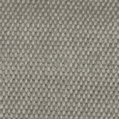 Robert Allen Sirenuse Taupe Essentials Multi Purpose Collection Upholstery Fabric