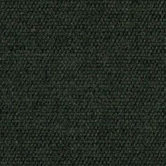 Robert Allen Sirenuse Charcoal Essentials Multi Purpose Collection Upholstery Fabric
