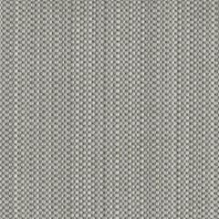 Robert Allen Serrano Sea Dove / Grey Essentials Multi Purpose Collection Upholstery Fabric