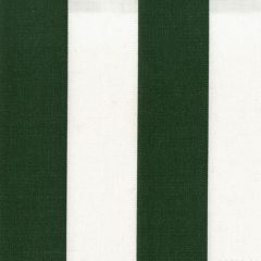 Robert Allen Amalfi Awning White / Hunter Green Essentials Collection Upholstery Fabric