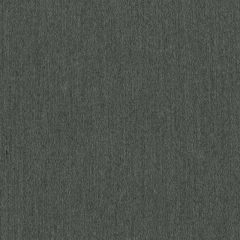 Perennials Sheen Queen Grey Matter 625-217 The Usual Suspects Collection Upholstery Fabric