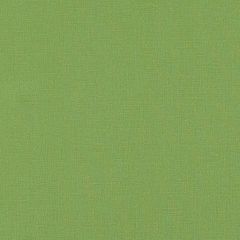 F. Schumacher Langham Grass 69665 Perfect Basics: Stonewashed Union Cloth