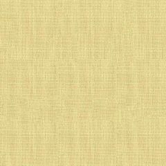 ABBEYSHEA Exuberance 64 Lemon White Indoor Upholstery Fabric