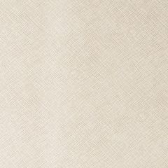 Kravet Contract Roxanne Limestone 111 Sta-Kleen Collection Indoor Upholstery Fabric