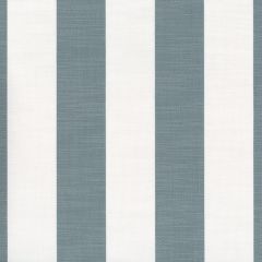 Perennials Go to Stripe Breakers 570-261 Natural Selection Collection Upholstery Fabric
