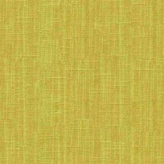 Kravet Design Millwood Chartreuse 34044-40 Curiosities Collection by Kate Spade Multipurpose Fabric