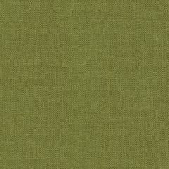 Kravet Basics Green 33120-3 Perfect Plains Collection Multipurpose Fabric
