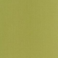Robert Allen Swagger Lemongrass Linen Solids Collection Multipurpose Fabric