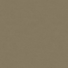 Lee Jofa Highland Mouse 2014141-610 Indoor Upholstery Fabric