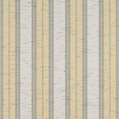 Sunbrella Chip Fancy Grey / Beige 4777-0000 46-Inch Stripes Awning / Shade Fabric
