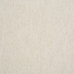 Kravet Contract 35116-111 Crypton Incase Collection Indoor Upholstery Fabric