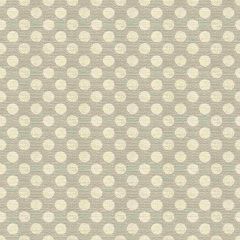 Kravet Design Posie Dot Sterling 34070-1611 Curiosities Collection by Kate Spade Multipurpose Fabric