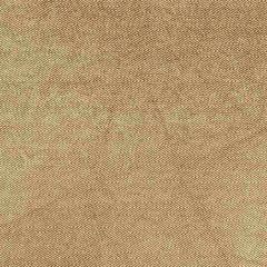 F. Schumacher Ashcombe Chenille Toffee 66900 Chroma Collection
